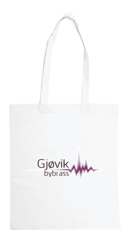 Bærenett Gjøvik Bybrass